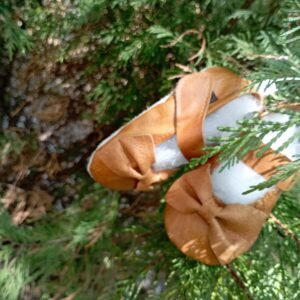 Puleng Leather Bows